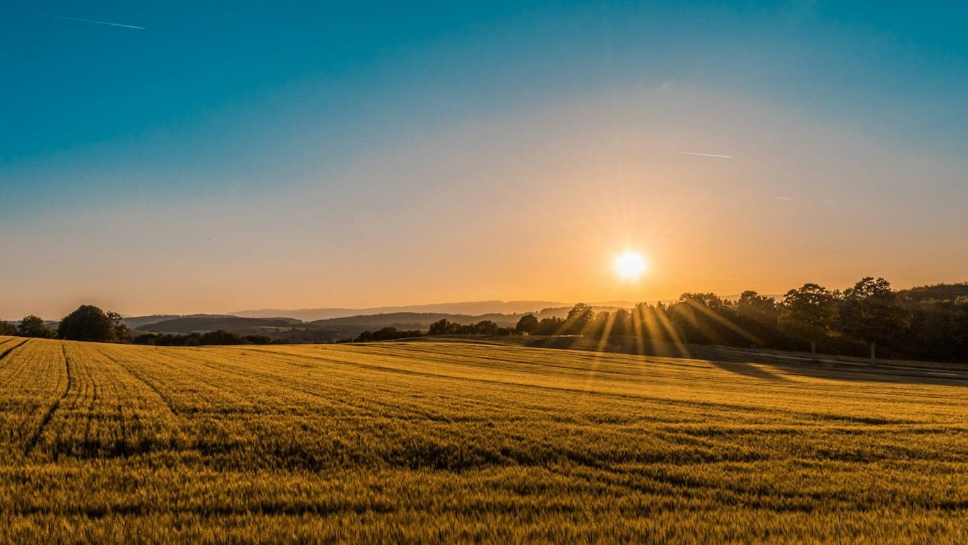 Paisagem de campo ao amanhecer com serra ao fundo